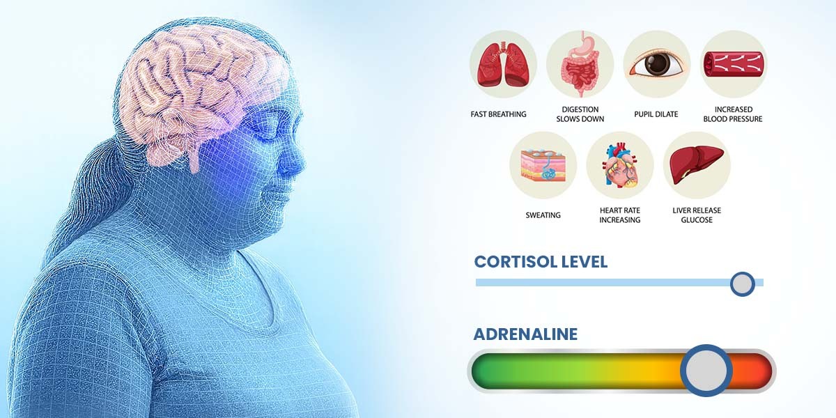 Cortisol graphic